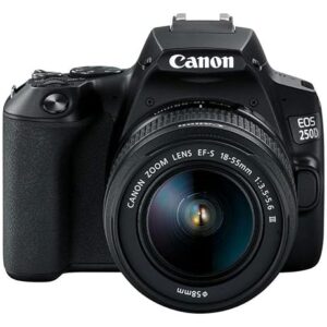 Canon EOS 2000D Body