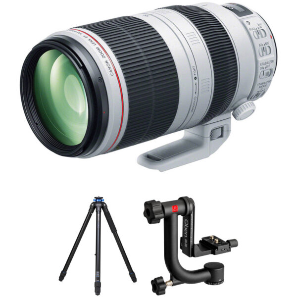 Canon EF 100-400mm f/4.5-5.6L IS II USM Telephoto Zoom Lens - Image 4